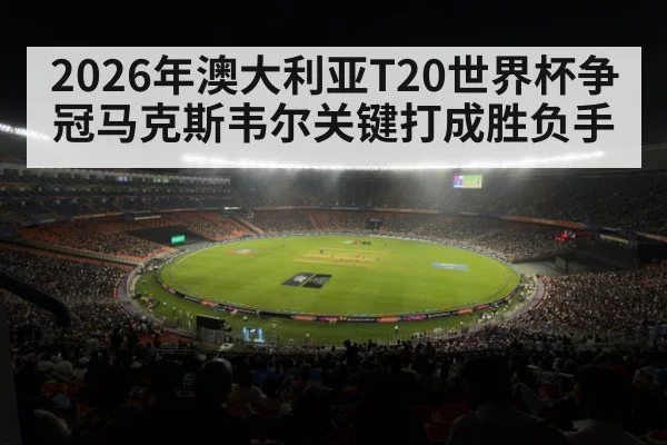 cricket stadium night match